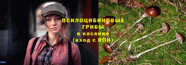 spice Балабаново
