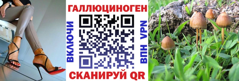 Галлюциногенные грибы Psilocybe Лесной